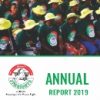 annual_report_2019